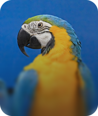 Acesso ao sistema Sispass